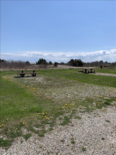 Vacation Rental Photo